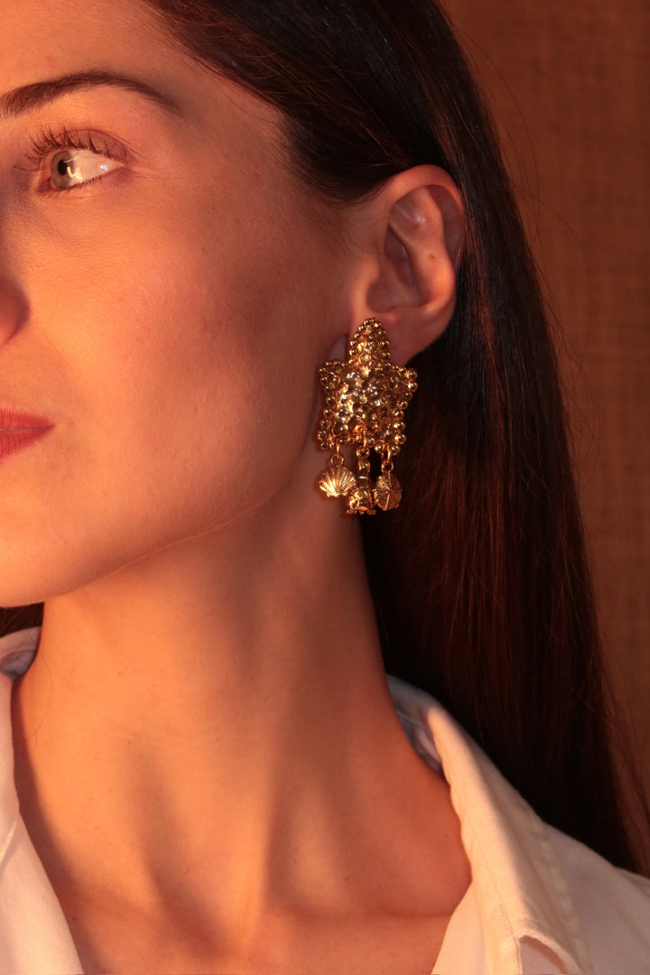 Star Earrings with Charms