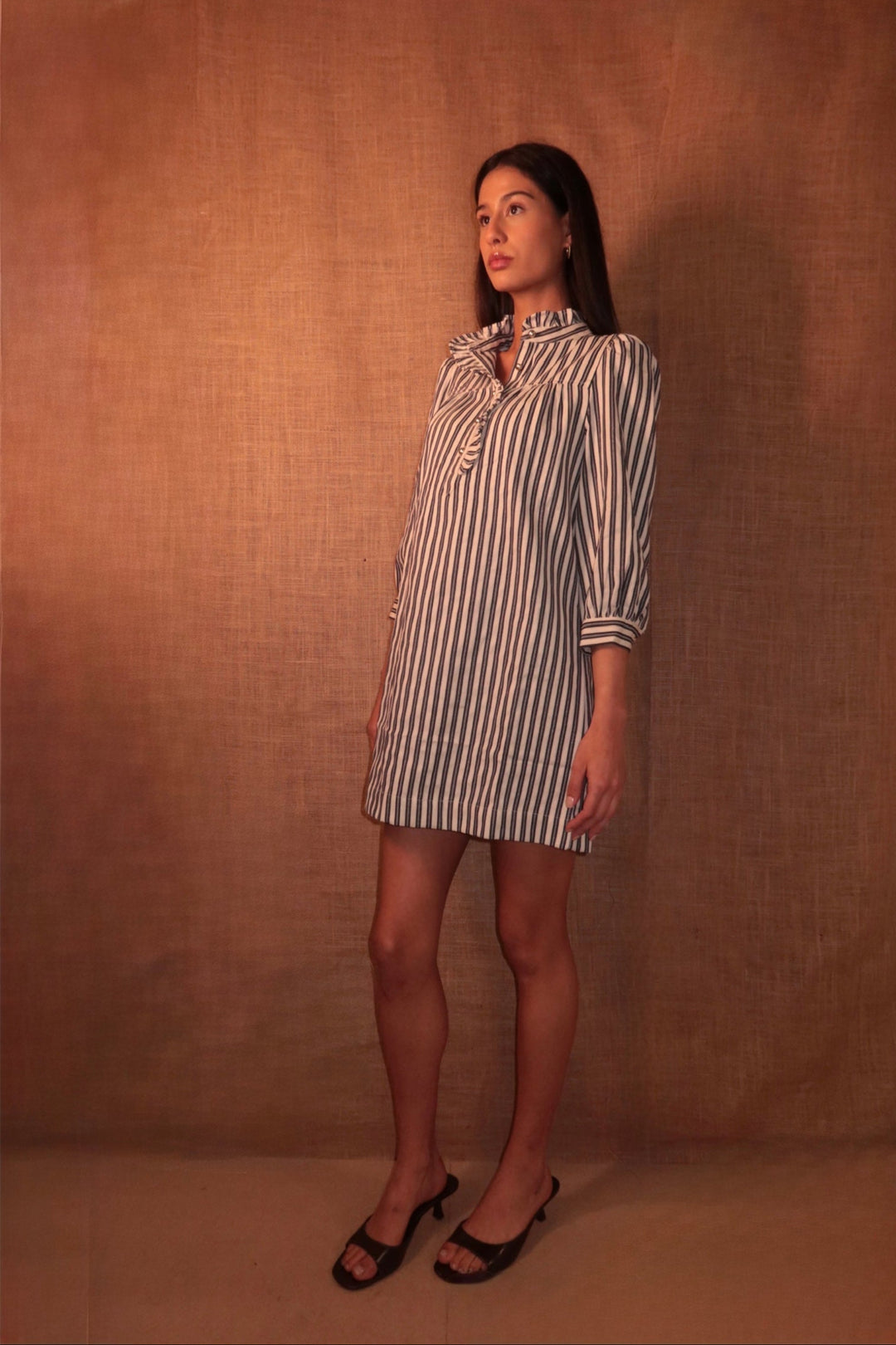 Alba Shirt Dress