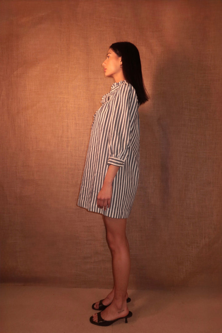 Alba Shirt Dress
