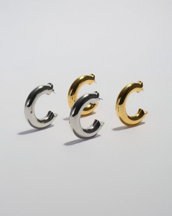 Hoopy Earrings in Gold
