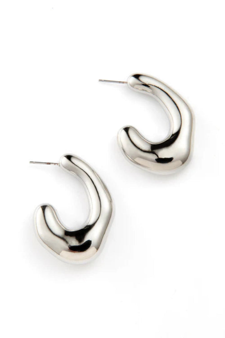 Bone Earrings Silver