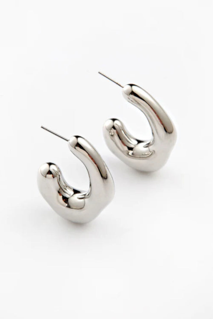 Bone Earrings Silver