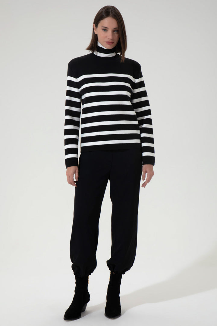 Lines Striped High-Neck Knit Sweater