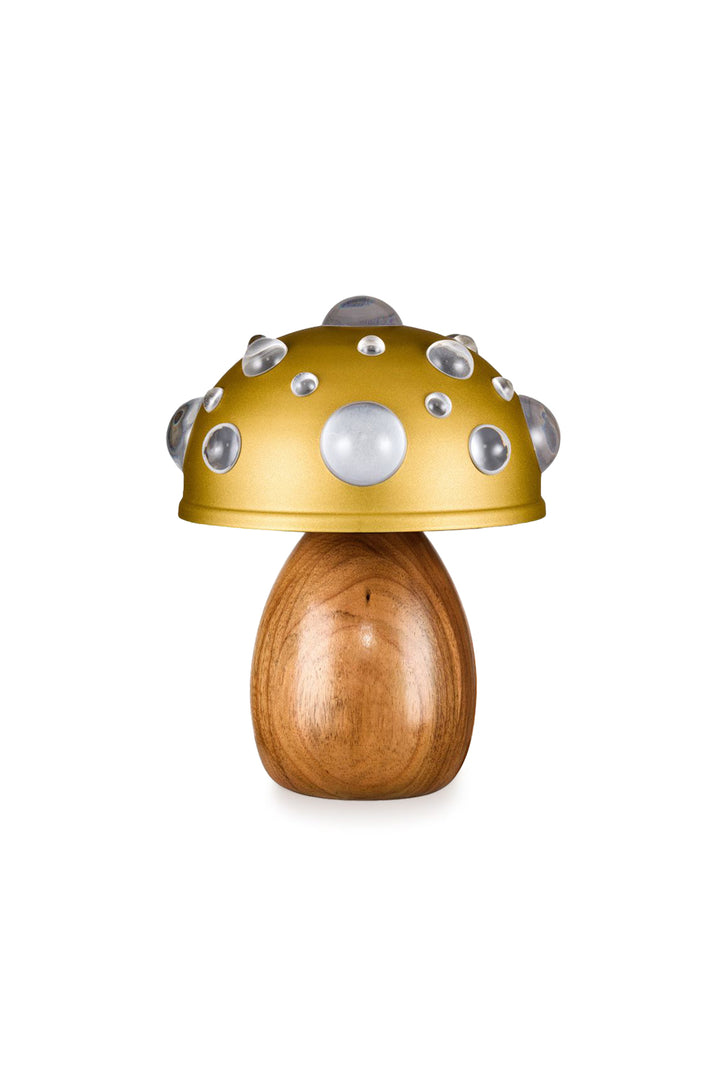 Mushroom-shaped lamp with a wooden base and metallic cap