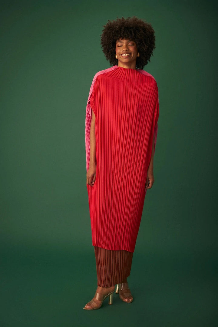 Carolina Bicolor Dress