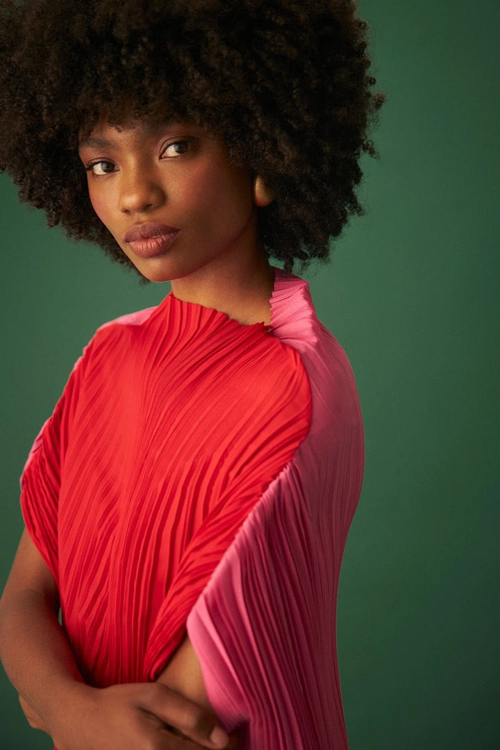 Carolina Bicolor Dress