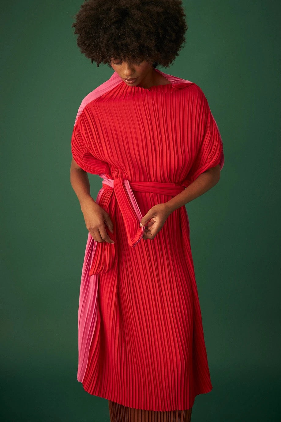 Carolina Bicolor Dress