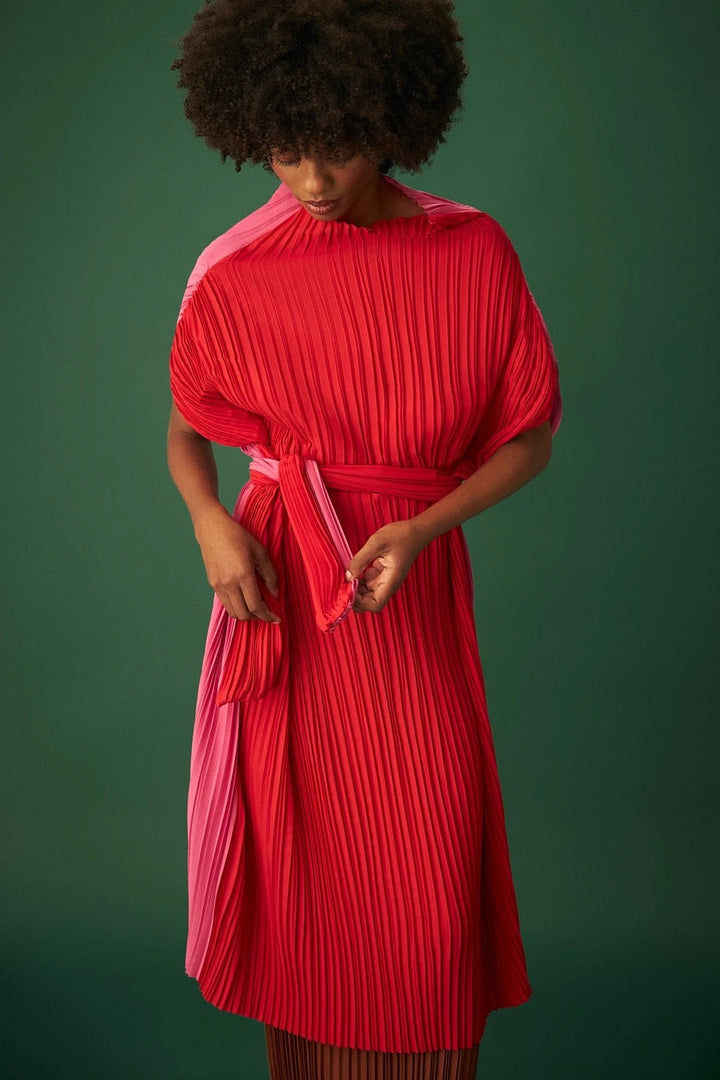 Carolina Bicolor Dress