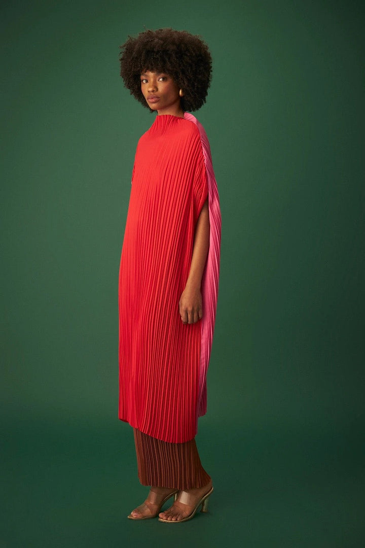 Carolina Bicolor Dress
