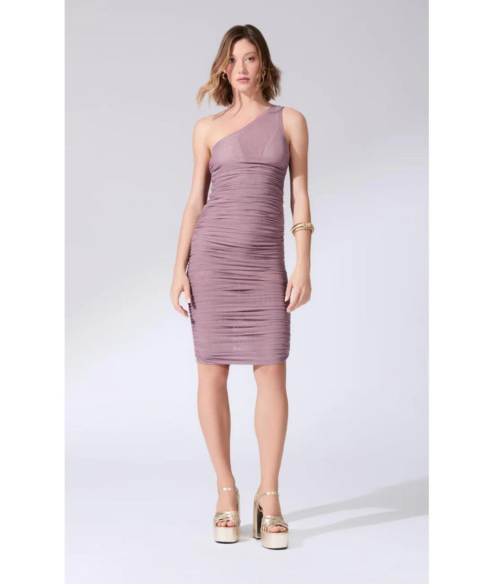 Old Purple One-Shoulder Tulle Dress