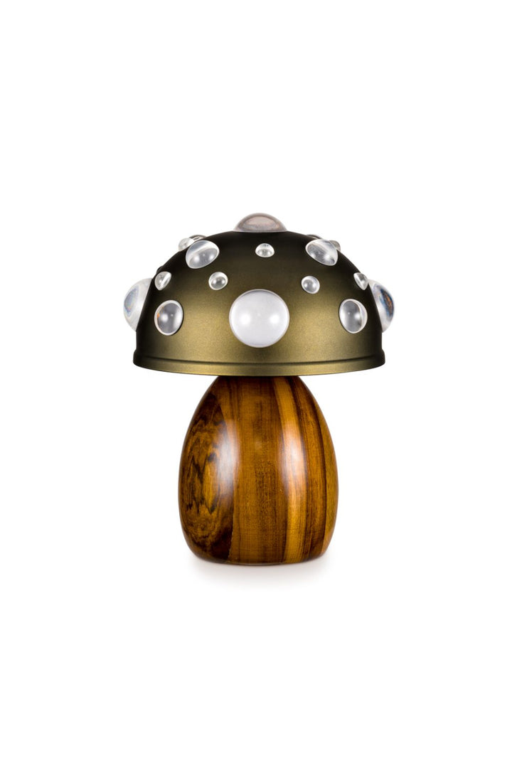 Mushroom-shaped lamp with wooden base and metallic cap